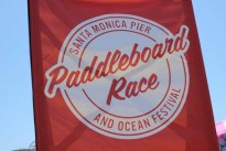 LASportMassage-Paddleboard-Race-June2015-105